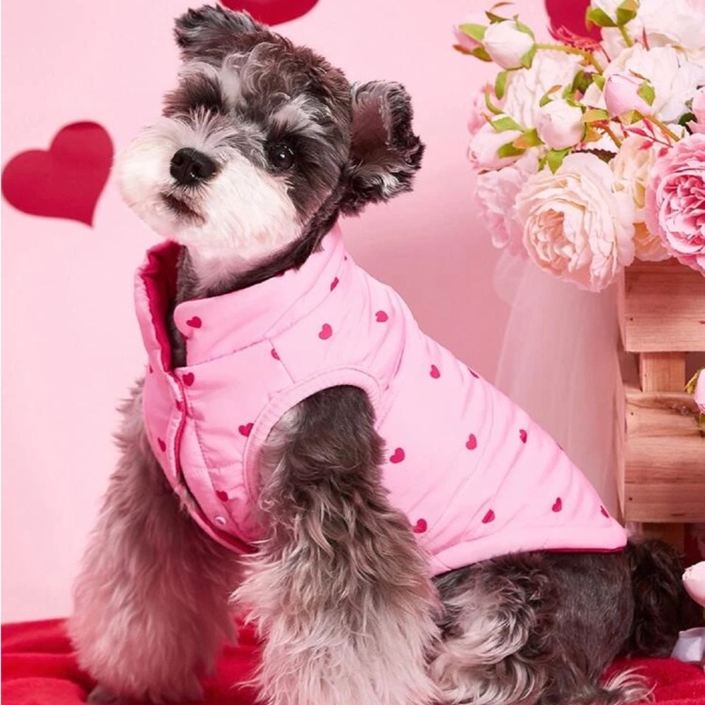 Puppy Puffer Jacket